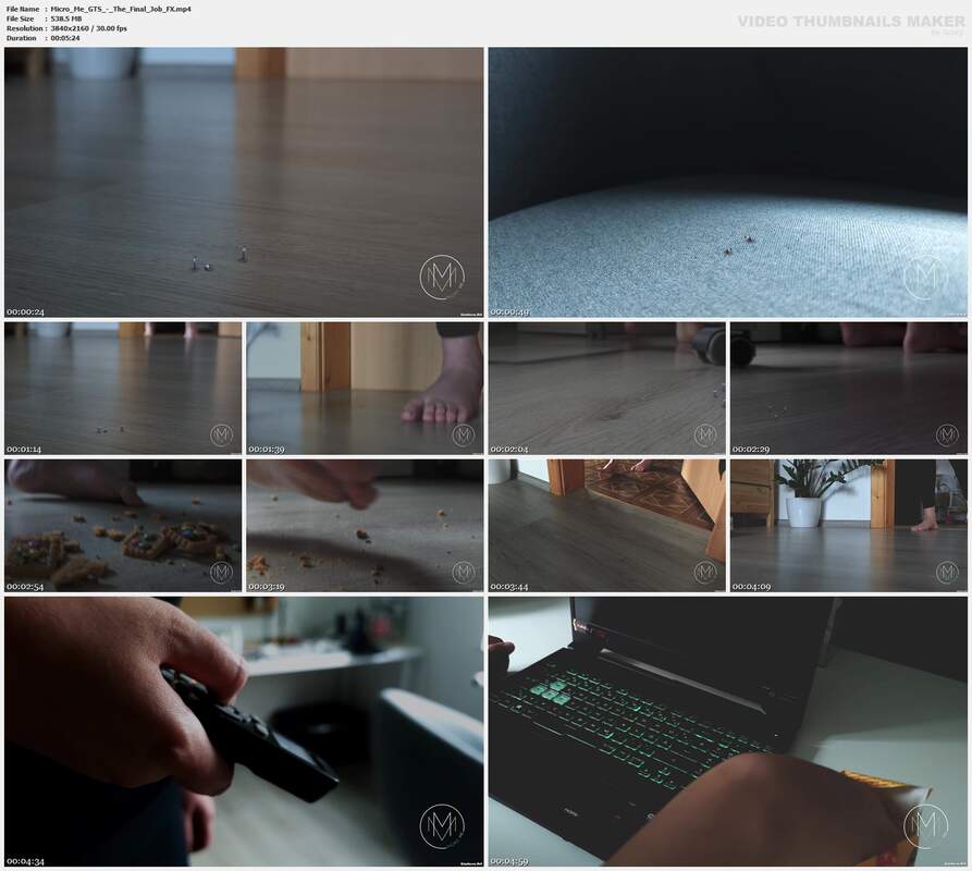 Micro Me GTS - The Final Job FX
