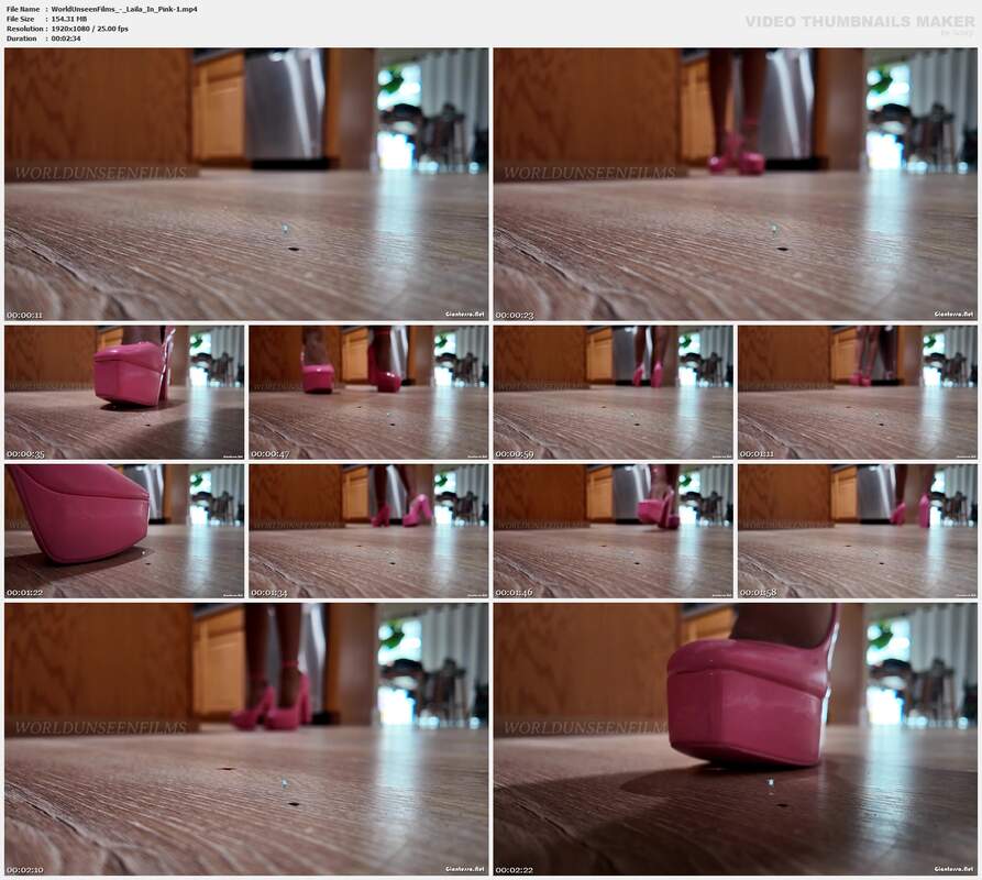 WorldUnseenFilms - Laila In Pink-1