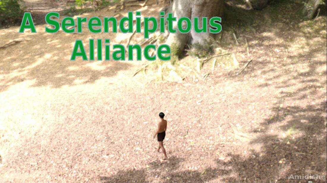Amidishe - A Serendipitous Alliance