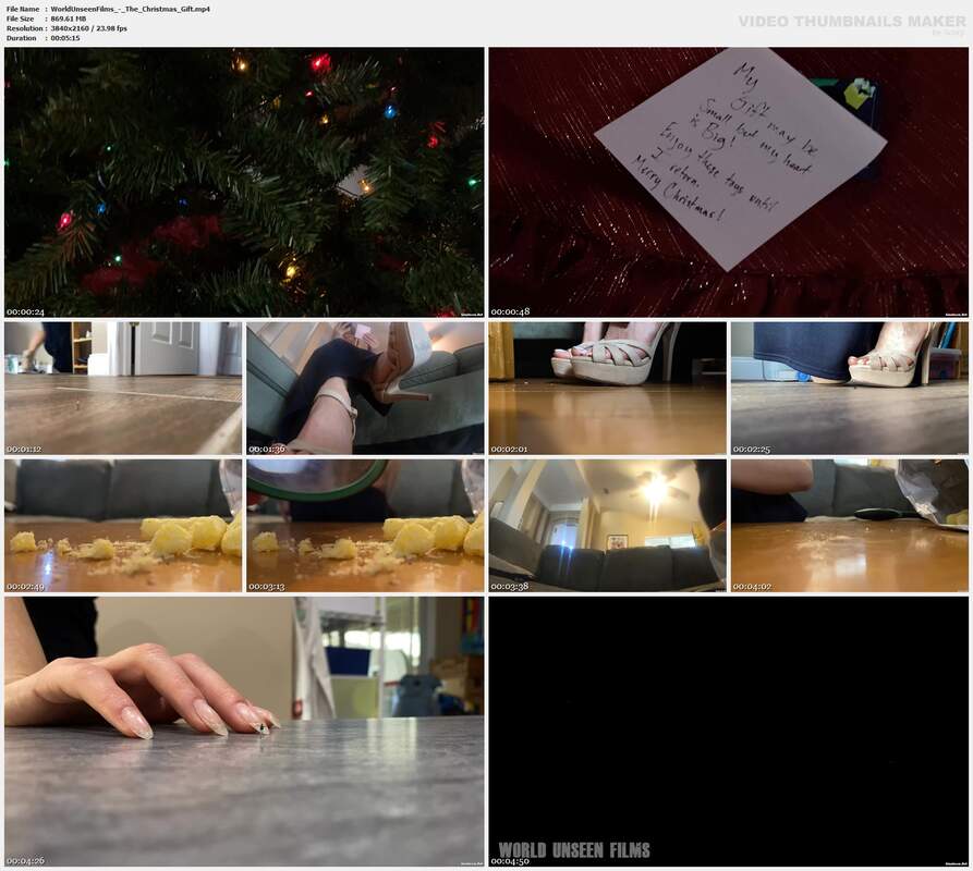 WorldUnseenFilms - The Christmas Gift
