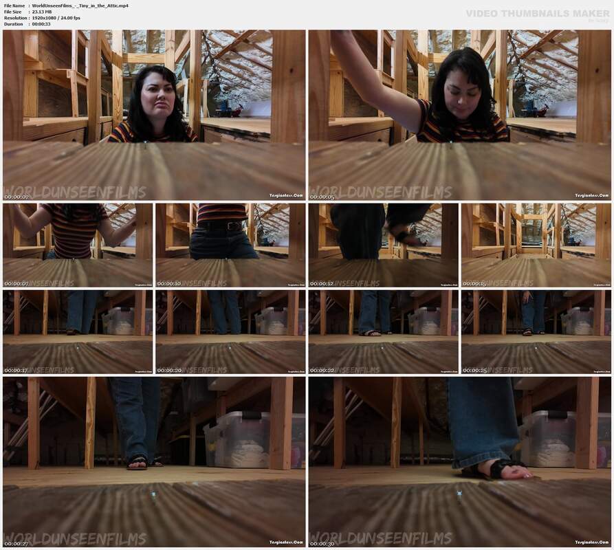 WorldUnseenFilms - Tiny in the Attic