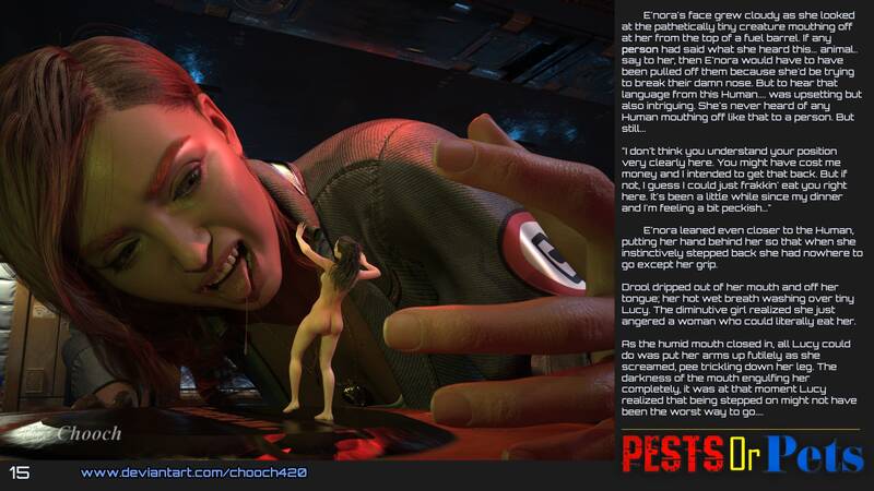 Chooch - Pests or Pets Chooch - Pests or Pets