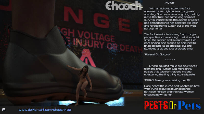 Chooch - Pests or Pets Chooch - Pests or Pets