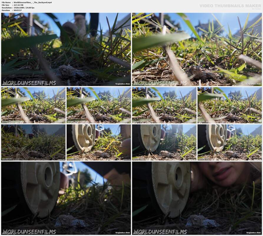 WorldUnseenFilms - The Backyard