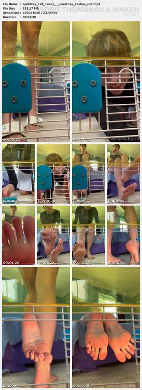 Goddess Tall Tasha - Giantess Tashas Pet