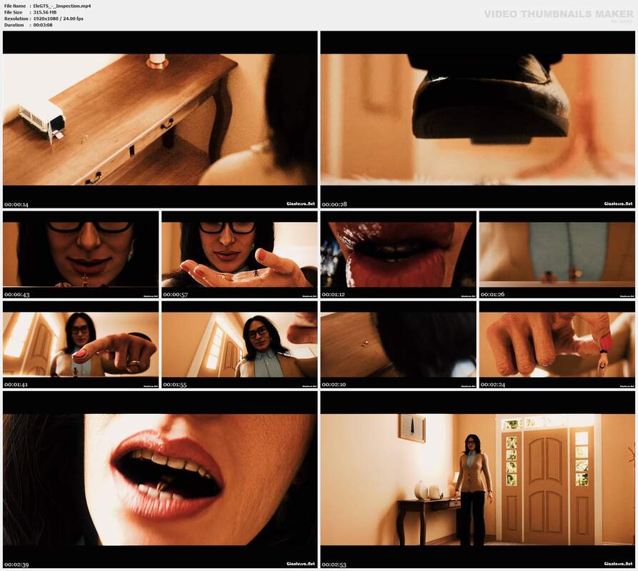 EleGTS - Inspection