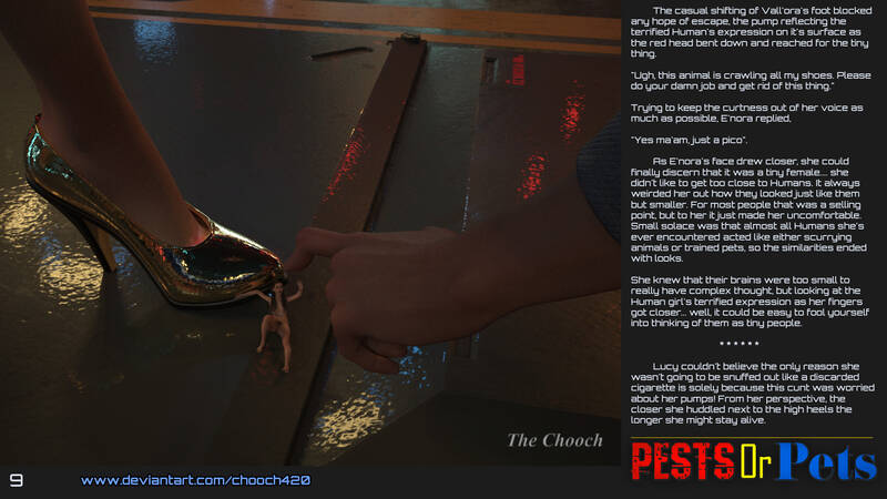 Chooch - Pests or Pets Chooch - Pests or Pets